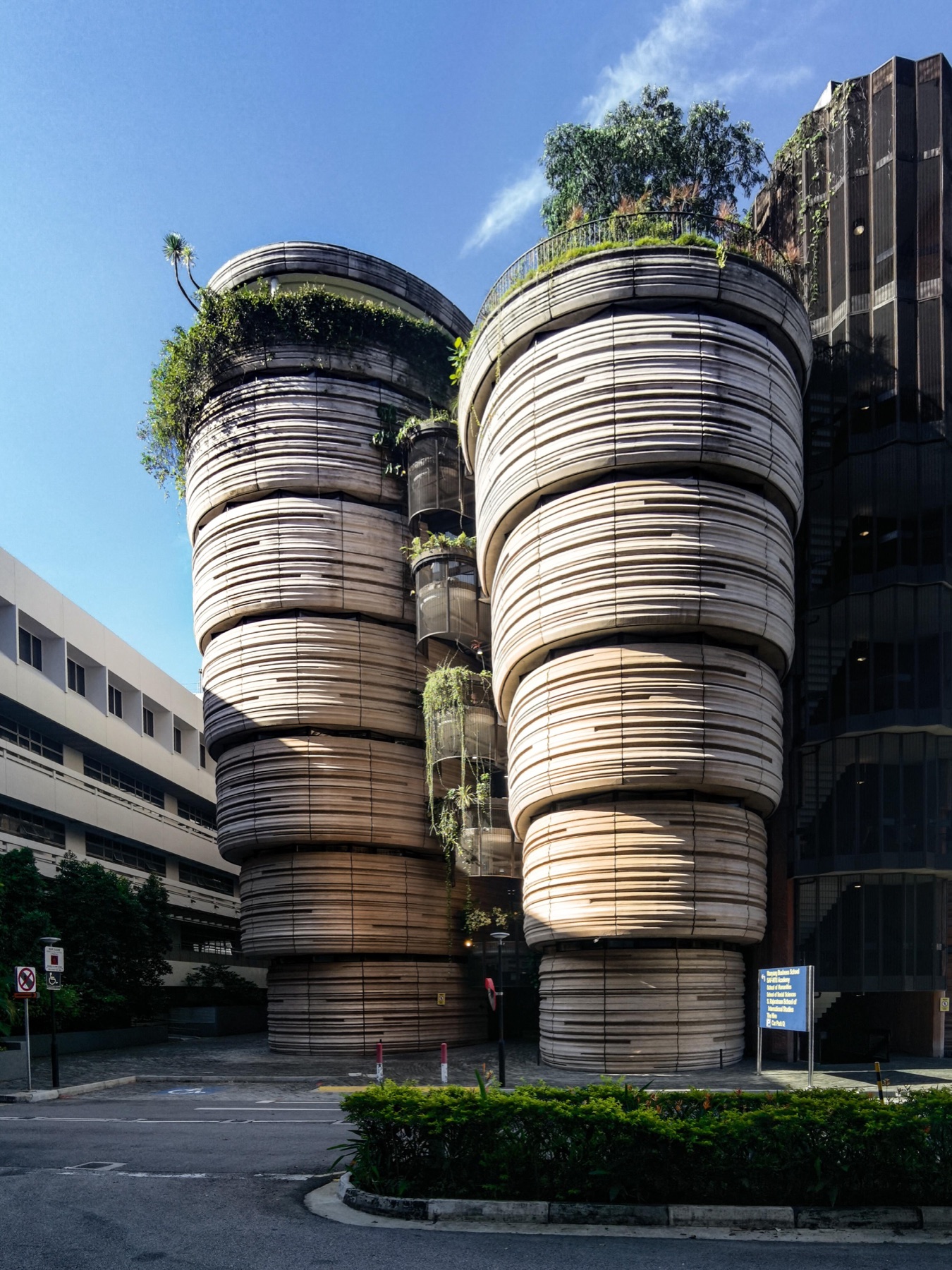 南洋理工大学校园